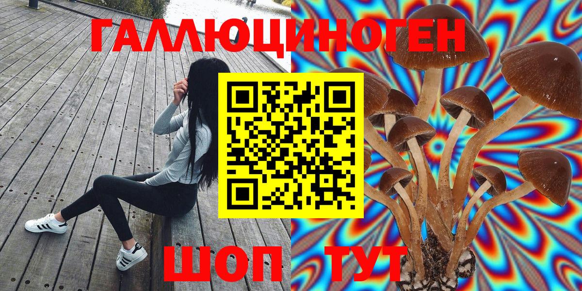 Псилоцибиновые грибы мицелий  Вход с VPN  Алейск 